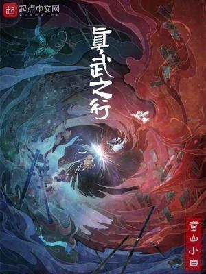 Bìa truyện Chân Vũ Chi Hành (真武之行)