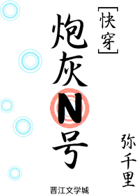Bìa truyện Pháo Hôi N Hào Khoái Xuyên (炮灰N号[快穿])