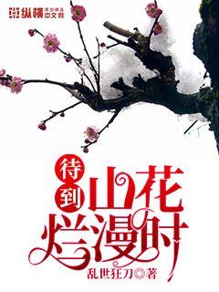 Bìa truyện Sơn Hoa Lạn Mạn Thời (山花烂漫时)
