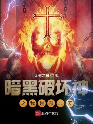Bìa truyện Ám Hắc Phá Phôi Thần Chi Ngã Thị Nại Phi Thiên (暗黑破坏神之我是奈非天)