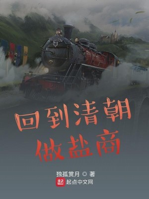 Bìa truyện Hồi Đáo Thanh Triêu Tố Diêm Thương (回到清朝做盐商)