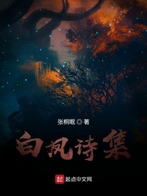 Bìa truyện Bạch Phượng Thi Tập (白凤诗集)