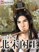Bìa truyện Bắc Tống Nhàn Vương (北宋闲王)