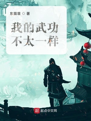 Bìa truyện Ngã Đích Vũ Công Bất Thái Nhất Dạng (我的武功不太一样)