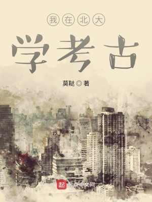 Bìa truyện Ngã Tại Bắc Đại Học Khảo Cổ (我在北大学考古)