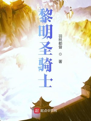 Bìa truyện Lê Minh Thánh Kỵ Sĩ (黎明圣骑士)