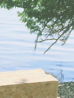 Bìa truyện Nhược Liễu Phù Phong (弱柳扶风)