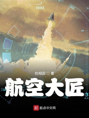 Bìa truyện Hàng Không Đại Tượng (航空大匠)