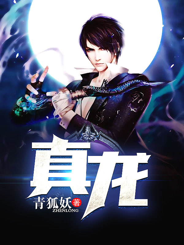 Bìa truyện Chân Long (真龙)