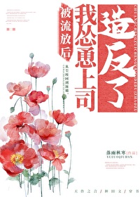 Bìa truyện Bị Lưu Phóng Hậu Ngã Túng Dũng Thượng Tư Tạo Phản Liễu (被流放后我怂恿上司造反了)