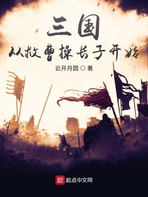 Bìa truyện Tam Quốc Tòng Cứu Tào Thao Trường Tử Khai Thủy (三国从救曹操长子开始)