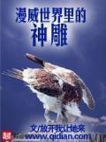 Bìa truyện Mạn Uy Thế Giới Lí Đích Thần Điêu (漫威世界里的神雕)