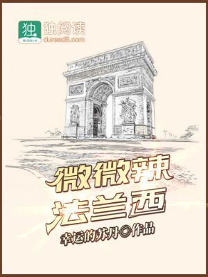 Bìa truyện Vi Vi Lạt Pháp Lan Tây (微微辣法兰西)