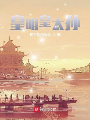 Bìa truyện Hoàng Minh Hoàng Thái Tôn (皇明皇太孙)
