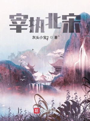 Bìa truyện Tể Chấp Bắc Tống (宰执北宋)