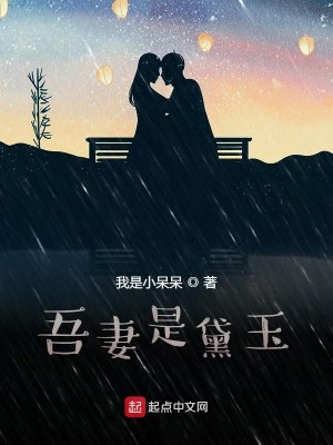 Bìa truyện Ngô Thê Thị Đại Ngọc (吾妻是黛玉)