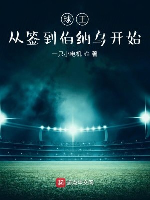 Bìa truyện Cầu Vương Tòng Thiêm Đáo Bá Nạp Ô Khai Thủy (球王从签到伯纳乌开始)