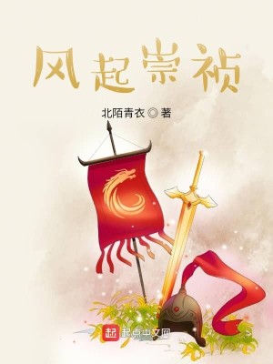 Bìa truyện Phong Khởi Sùng Trinh (风起崇祯)