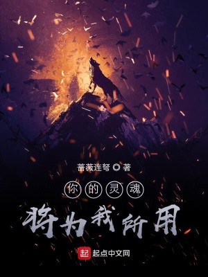 Bìa truyện Nhĩ Đích Linh Hồn Tương Vi Ngã Sở Dụng (你的灵魂将为我所用)