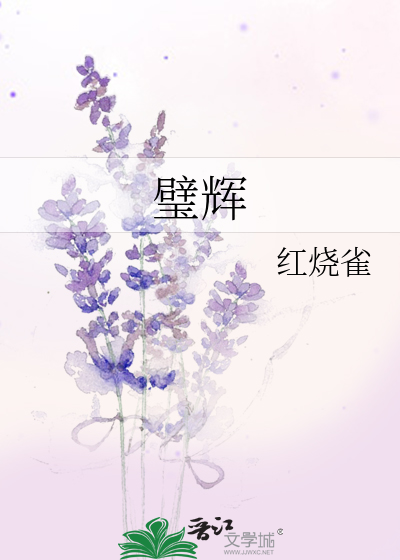 Bìa truyện Bích Huy (璧辉)