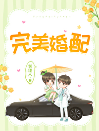 Bìa truyện Hoàn Mĩ Hôn Phối (完美婚配)