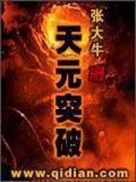 Bìa truyện Thiên Nguyên Đột Phá (天元突破)