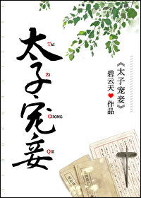 Bìa truyện Thái Tử Sủng Thiếp (太子宠妾)