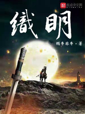 Bìa truyện Chức Minh (织明)