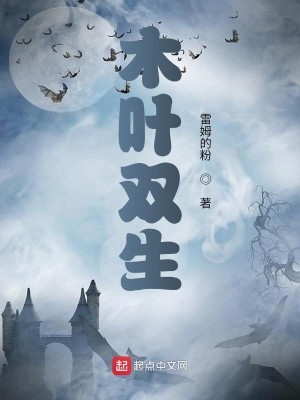Bìa truyện Mộc Hiệp Song Sinh (木叶双生)