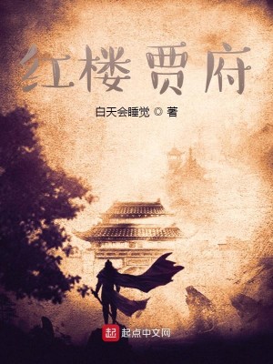 Bìa truyện Hồng Lâu Giả Phủ (红楼贾府)