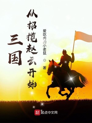 Bìa truyện Tam Quốc Tòng Chiêu Lãm Triệu Vân Khai Thủy (三国从招揽赵云开始)