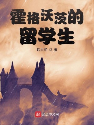 Bìa truyện Hoắc Cách Ốc Tì Đích Lưu Học Sinh (霍格沃茨的留学生)