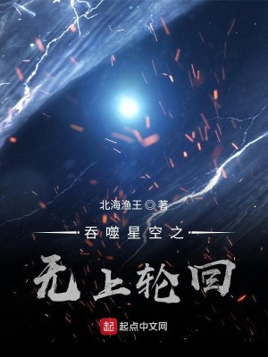 Bìa truyện Thôn Phệ Tinh Không Chi Vô Thượng Luân Hồi (吞噬星空之无上轮回)