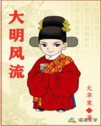 Bìa truyện Đại Minh Phong Lưu (大明风流)