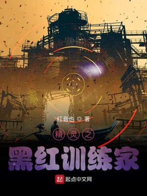 Bìa truyện Tinh Linh Chi Hắc Hồng Huấn Luyện Gia (精灵之黑红训练家)