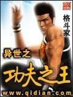 Bìa truyện Dị Thế Chi Công Phu Chi Vương (异世之功夫之王)