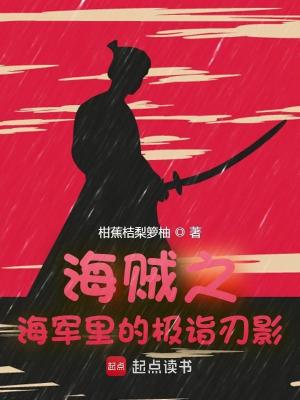 Bìa truyện Hải Tặc Chi Hải Quân Lí Đích Cực Nghệ Nhận Ảnh (海贼之海军里的极诣刃影)