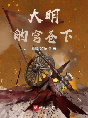 Bìa truyện Đại Minh Đích Khung Thương Hạ (大明的穹苍下)