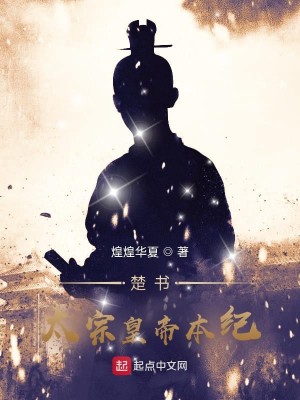 Bìa truyện Sở Thư Thái Tông Hoàng Đế Bổn Kỉ (楚书太宗皇帝本纪)
