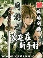 Bìa truyện Võng Du Chi Phát Tích Tại Tân Thủ Thôn (网游之发迹在新手村)