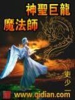Bìa truyện Thần Thánh Cự Long Ma Pháp Sư (神圣巨龙魔法师)