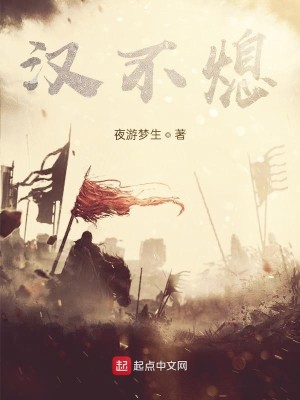 Bìa truyện Hán Bất Tức (汉不熄)