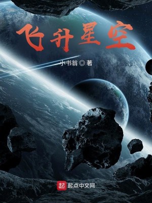Bìa truyện Phi Thăng Tinh Không (飞升星空)