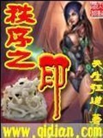 Bìa truyện Trật Tự Chi Ấn (秩序之印)