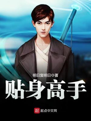 Bìa truyện Thiếp Thân Cao Thủ (贴身高手)