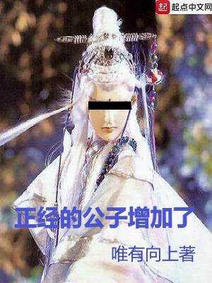 Bìa truyện Chính Kinh Đích Công Tử Tăng Gia Liễu (正经的公子增加了)