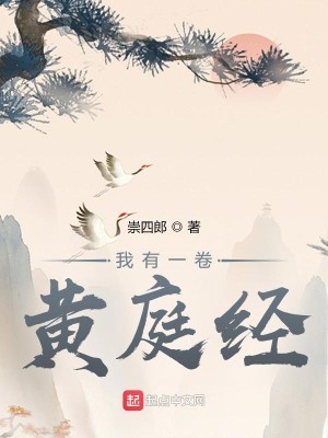 Bìa truyện Ngã Hữu Nhất Quyển Hoàng Đình Kinh (我有一卷黄庭经)