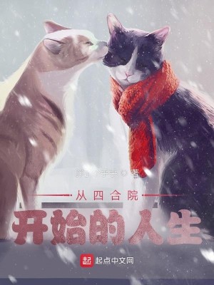 Bìa truyện Tòng Tứ Hợp Viện Khai Thủy Đích Nhân Sinh (从四合院开始的人生)