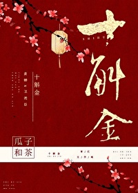 Bìa truyện Thập Hộc Kim (十斛金)
