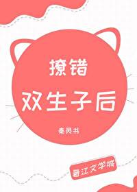 Bìa truyện Liêu Thác Song Sinh Tử Hậu (撩错双生子后)